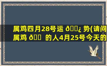 属鸡四月28号运 🌿 势(请问属鸡 🐠 的人4月25号今天的运气如何)